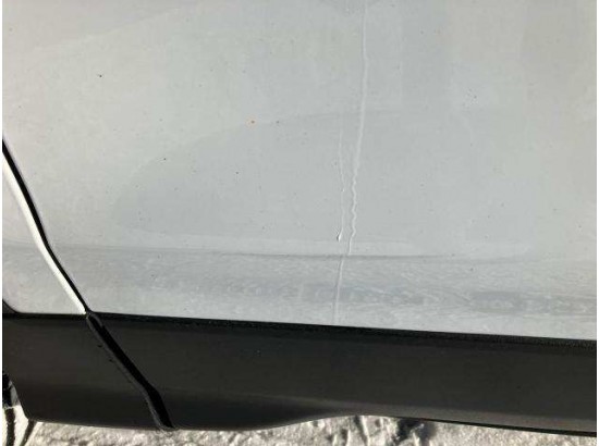 2019 Ford Kuga Trend