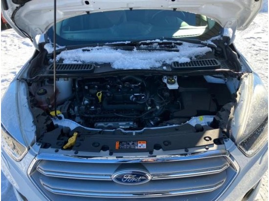 2019 Ford Kuga Trend