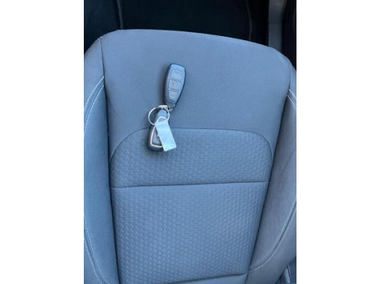 2019 Ford Kuga Trend