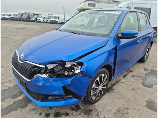 2019 Skoda Fabia Ambition