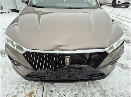 2021 China FAW (PRC) T77