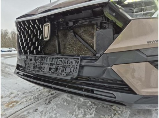 2021 China FAW (PRC) T77