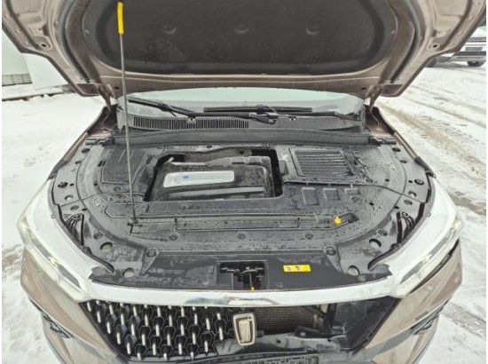 2021 China FAW (PRC) T77