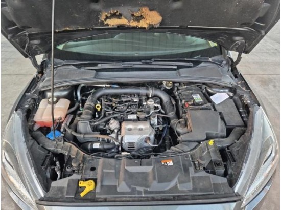 2016 Ford Focus Tunier Business