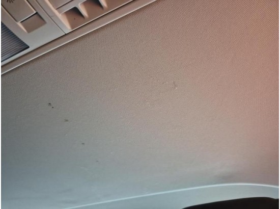 2019 Volkswagen T6 Transporter Bus Multivan Highline