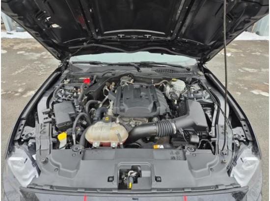 2018 Ford Mustang Basis Fastback