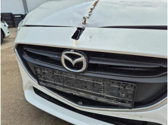 2019 Mazda 2 Lim. Kizoku