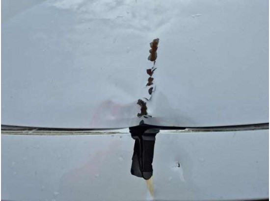 2019 Mazda 2 Lim. Kizoku