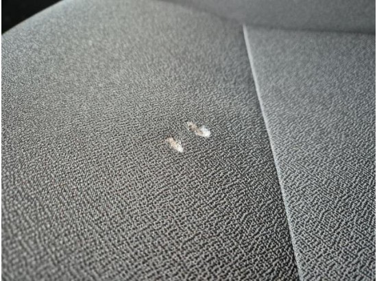 2025 Citroen Jumper Kasten Hochraum 35 L4H2 Heavy BlueHDi 180