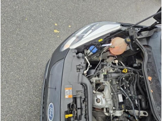 2019 Ford Fiesta Trend