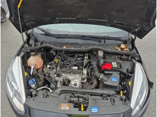 2019 Ford Fiesta Trend