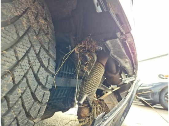 2015 Smart fortwo coupe Brabus