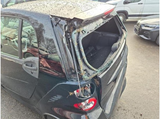 2015 Smart fortwo coupe Brabus