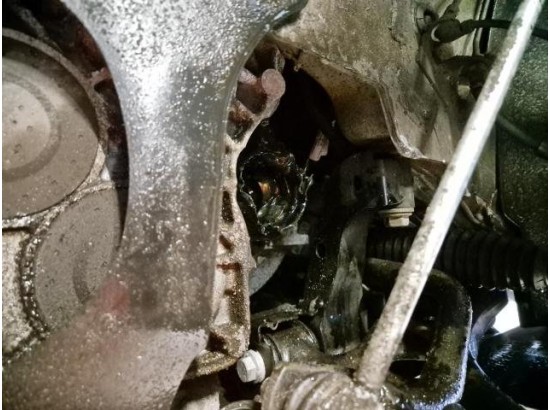 2025 Volkswagen Golf VIII Lim. 2.0 TDI 110 kW Goal