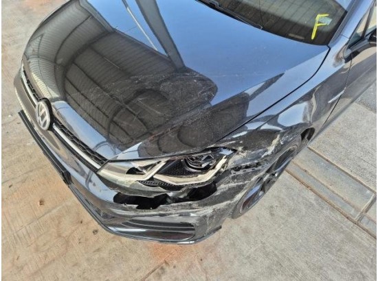 2017 Volkswagen Golf VII Variant GTD BMT/Start-Stopp