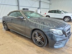 2018 Mercedes-Benz E -Klasse Cabrio E 300 d