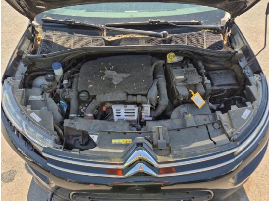 2019 Citroen C4 Cactus Shine