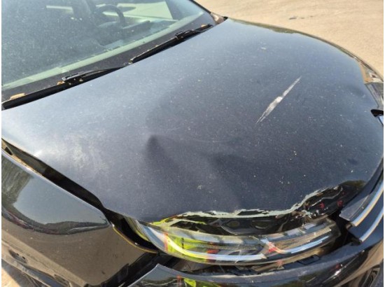 2019 Citroen C4 Cactus Shine