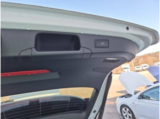 2025 Volkswagen Passat Variant 2.0 TDI 110 kW Elegance