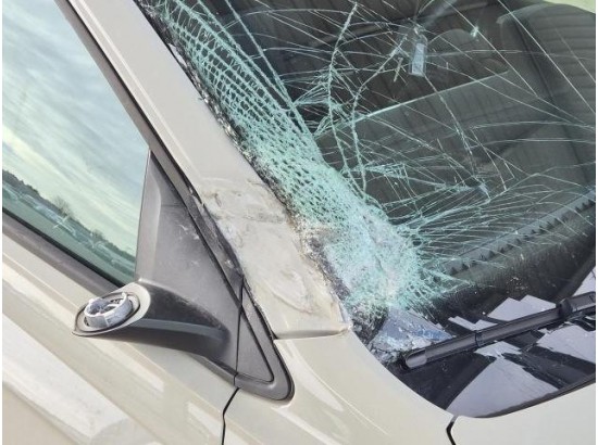 2024 Volkswagen Taigo Move