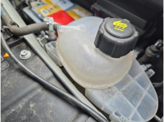 2019 Smart forfour Basis 52 kW