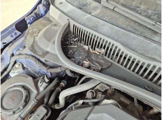 2019 Volkswagen Polo VI Comfortline