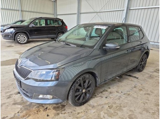 2016 Skoda Fabia Joy