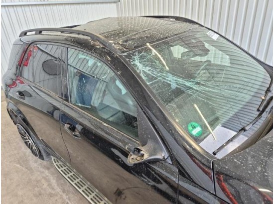 2021 Mercedes-Benz GLE -Klasse GLE 350 d 4Matic