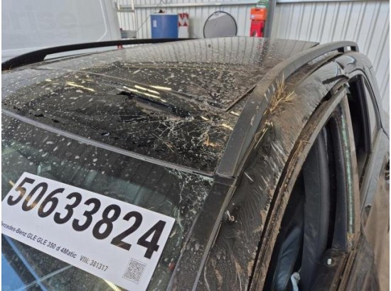 2021 Mercedes-Benz GLE -Klasse GLE 350 d 4Matic