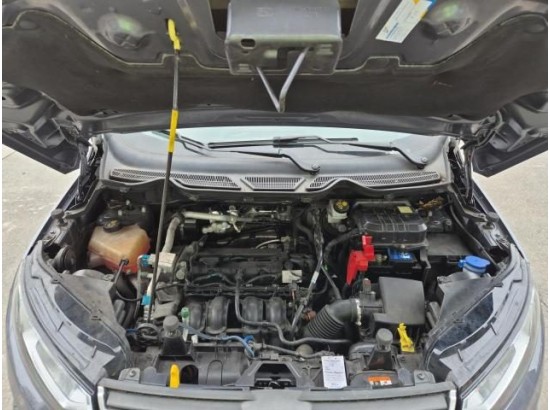 2016 Ford EcoSport Trend