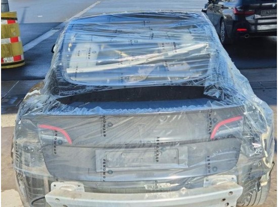 2022 Tesla Model 3 ab 01/17 Model 3 Performance