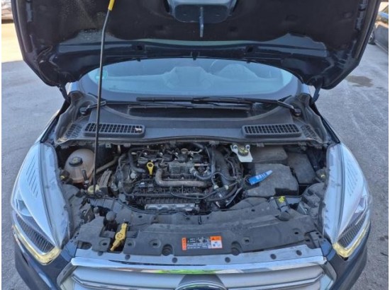 2019 Ford Kuga Cool & Connect