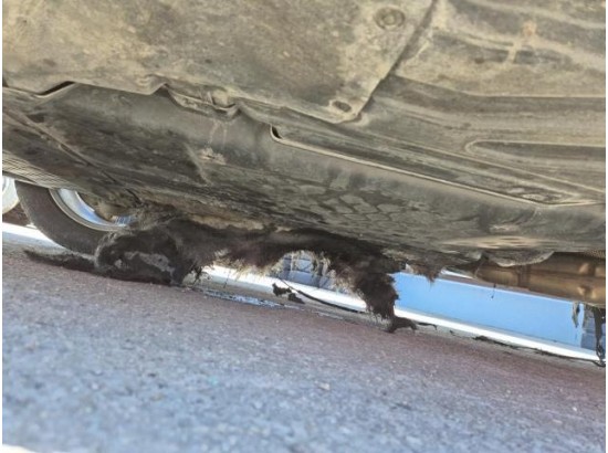 2018 Mercedes-Benz GLC -Klasse GLC 220 d 4Matic