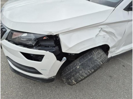 2019 Skoda Karoq Ambition