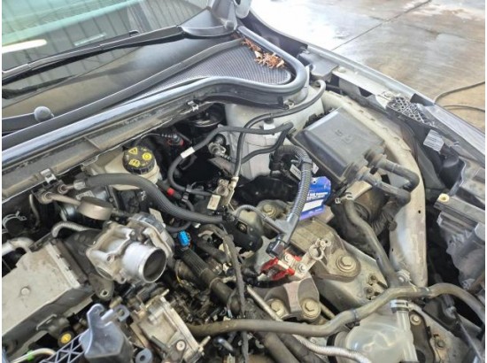 2022 Ford Focus Turnier Cool & Connect