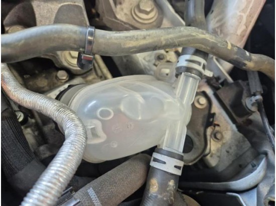 2022 Ford Focus Turnier Cool & Connect