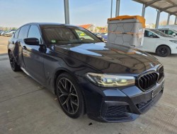 2020 BMW 5er Lim. 530 d M Sport