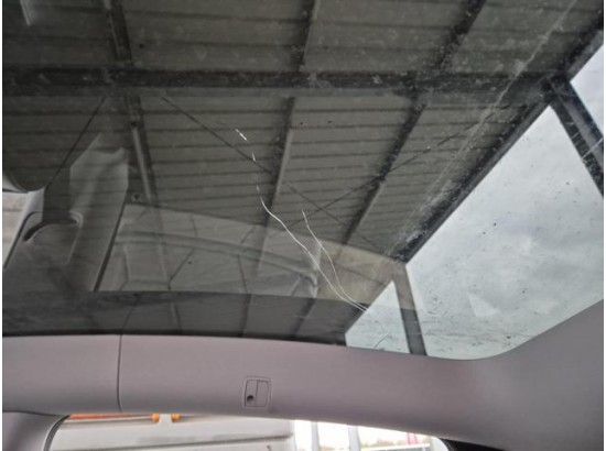 2024 Tesla Model Y Performance Allradantrieb