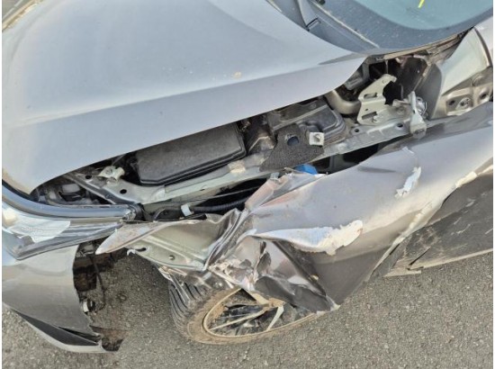 2019 Toyota Auris Hybrid Team D