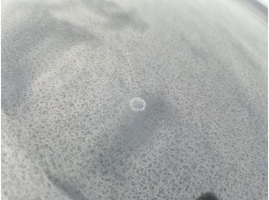 2015 BMW 5er Touring 520d