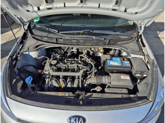 2018 Kia Rio Dream Team
