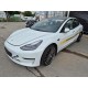 2022 Tesla (USA) Model 3