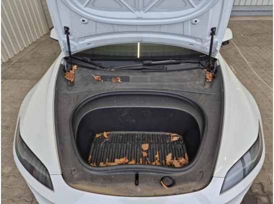 2024 Tesla Model 3 Basis RWD