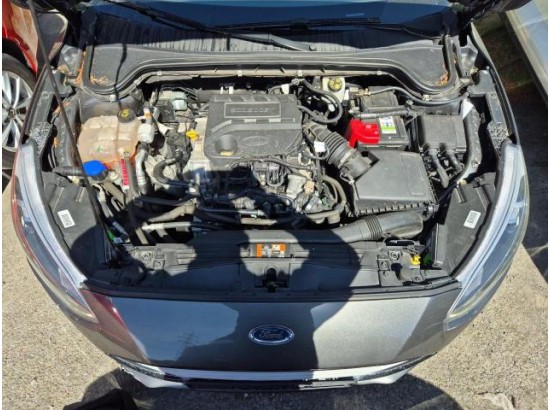2019 Ford Focus Turnier Cool & Connect