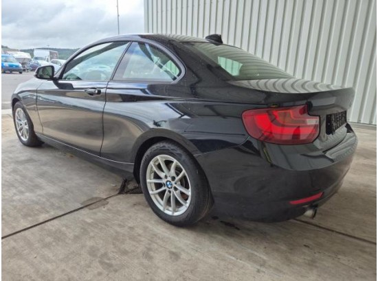 2015 BMW 2er Coupe 218i