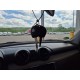 2023 Suzuki Swift Comfort 4x4