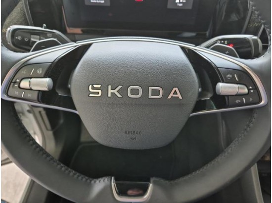 2025 Skoda Kodiaq 2.0 TDI 142 kW 4x4 Selection