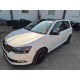 2017 Skoda Fabia Monte Carlo