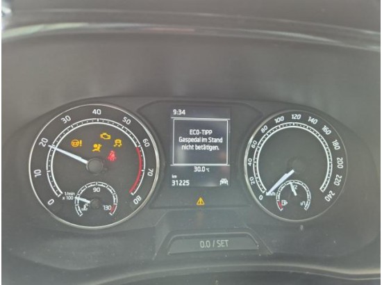 2022 Skoda Fabia Active