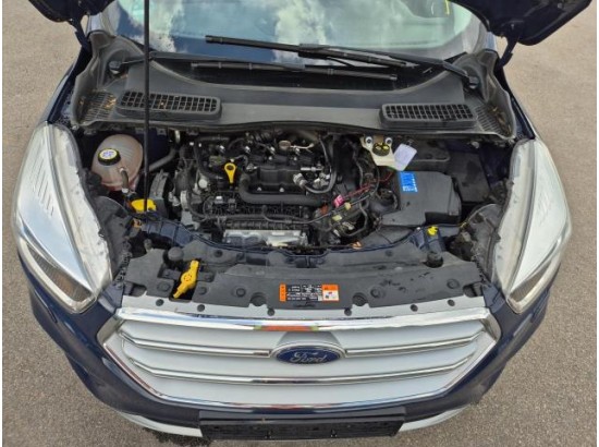 2019 Ford Kuga Trend